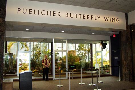 Milwaukee Public Museum - Puelicher Butterfly Wing - CG Schmidt