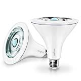 Top 10 Best Motion Sensor Light Bulbs in 2023 Reviews | Buyer's Guide