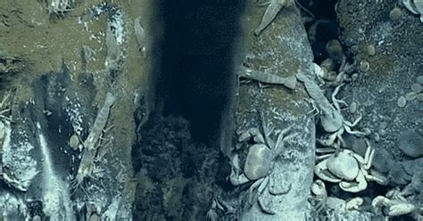 Hydrothermal vents on ocean floor | The Planetary Society