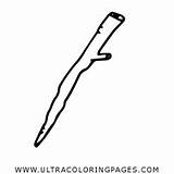 Walking Stick Coloring Page  Ultra Pages sketch template