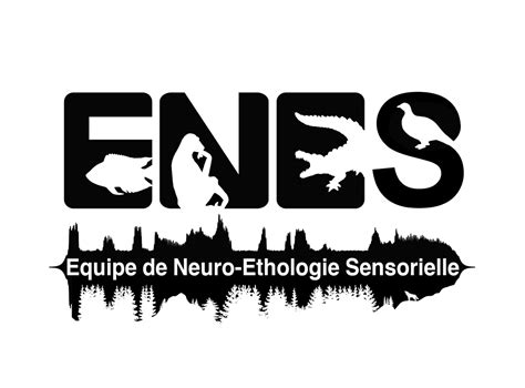 Courses in Bioacoustics | ENES lab