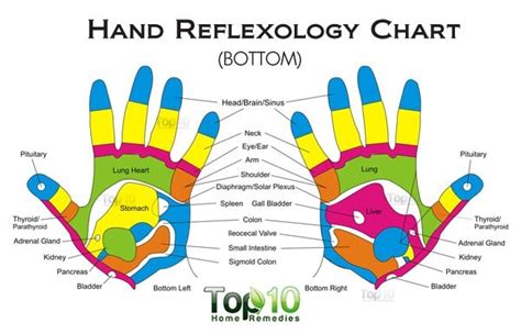 10 Health Benefits of Reflexology as an Alternative Treatment | Top 10 Home Remedies