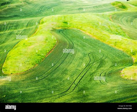 Aerial view of Palouse Region Stock Photo - Alamy