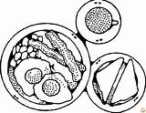 Printable Breakfast Coloring Pages Free For Kids And Adults sketch template
