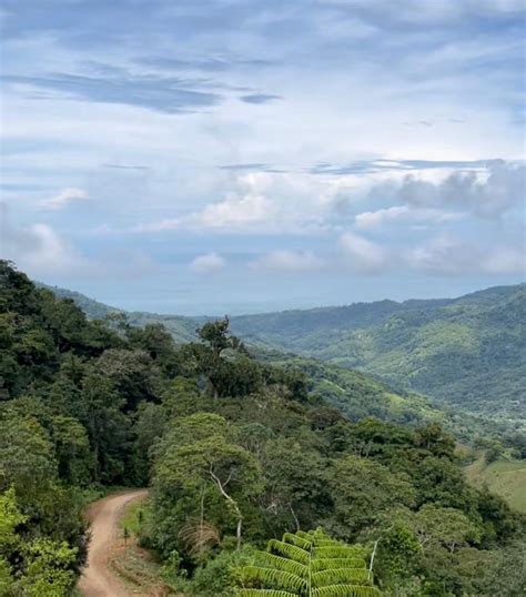 Beautiful farm with ocean views, mountains and cool weather in the hills of Uvita - Uvita ...