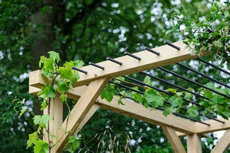 Best Plants for a Pergola - gardenersworld.com