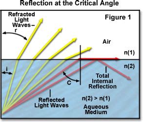 Molecular Expressions Microscopy Primer: Light and Color - The Critical ...