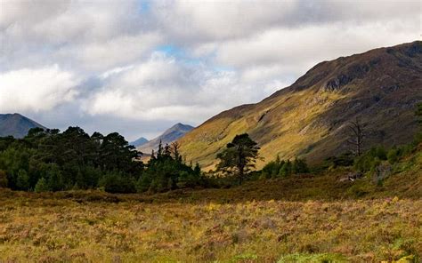 Glen-Affric-2 - Love, from Scotland