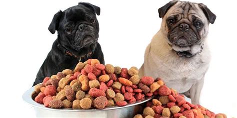 10 Best Dog Food Products For Pug Puppies Reviewed In 2024