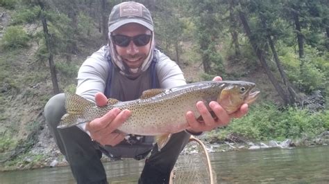 Montana Summer Fly Fishing 2020: Big Fish Everywhere | Trout Haven