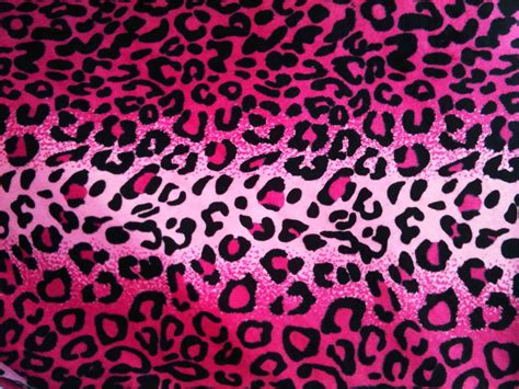 Leopard Print Pink Wallpapers on WallpaperDog