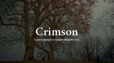 Crimson Font Family : Download Free for Desktop & Webfont