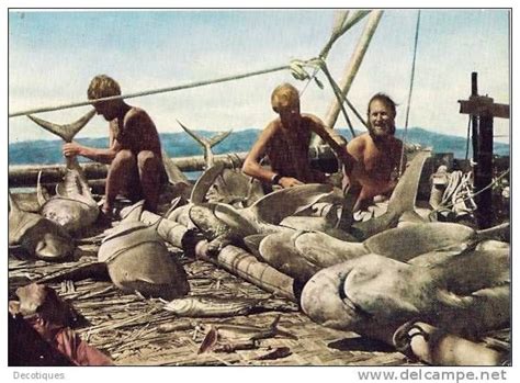 kon tiki expedition thor heyerdahl Best Adventure Books, Greatest ...