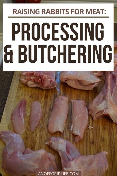 Raising Rabbits For Meat 2: Processing & Butchering - An Off Grid Life | Raising rabbits for ...