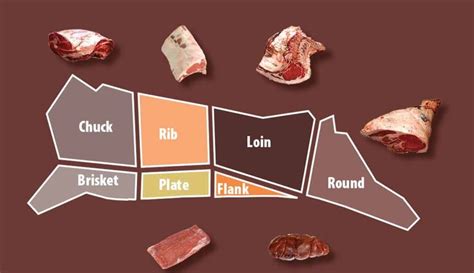 Top 10 Most Tender Muscles in the Beef Carcass