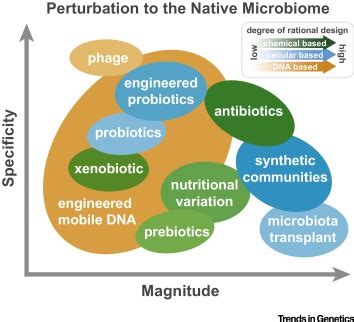 Manipulating Bacterial Communities by in situ Microbiome Engineering: Trends in Genetics