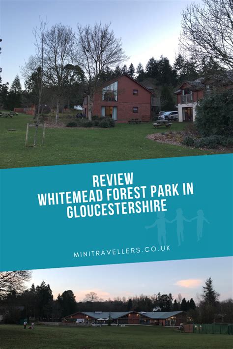 Review | Whitemead Forest Park in Gloucestershire | Forest park, Gloucestershire, Family travel blog