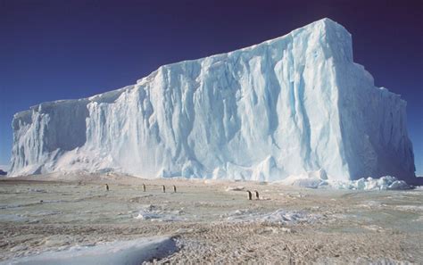 Antarctic Tundra - Four Biomes | Landscape, Antarctica, Wonders of the world