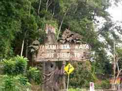 alam indonesia: taman hutan raya di indonesia