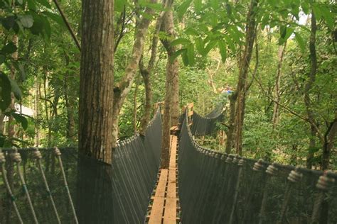 Chocolate Hills Adventure Park (CHAP) Newest Outdoor Attractions