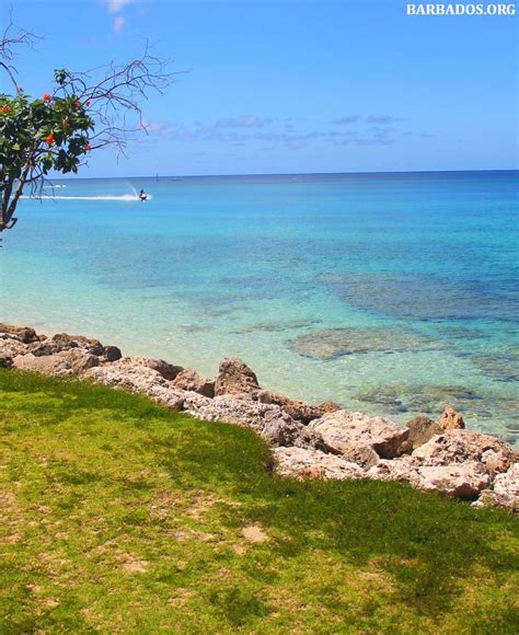 The beaches along the west coast of #Barbados are perfect for many ...