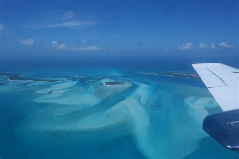 Flamingo Air Bahamas to the Exumas Staniel Cay | Swimming pigs, Bahamas, Exuma