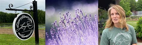 Longing to Visit a Lavender Farm? Get to Making Plans!