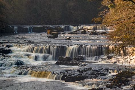 Image of Aysgarth Falls, Wensleydale | 1022242