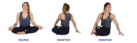 Seated Yoga Poses For Beginners | Cabinets Matttroy