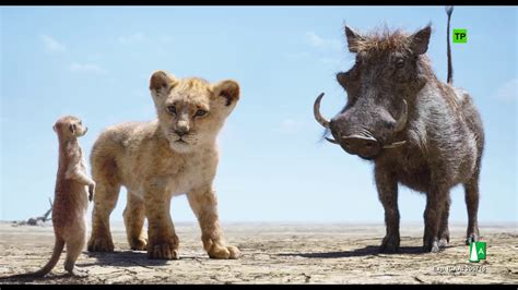 El Rey León (2019) | Escena: 'Hakuna Matata' | HD - define seo marketing