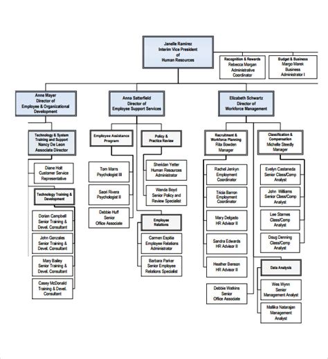 Human Resources Organizational Chart Template