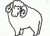 Sheep Coloring Pages To Print  Home sketch template
