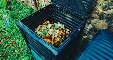 How To Use A Compost Bin (Beginner’s Step-By-Step Guide)