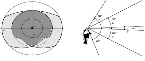 Visual range: (a) foveal vision; (b) near surround; (c) far surround.... | Download Scientific ...