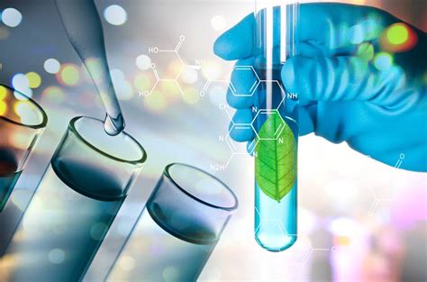 Environmental Biotechnology Market Growth 2021 to 2030