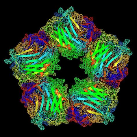 C-reactive Protein #3 Photograph by Alfred Pasieka/science Photo Library - Pixels