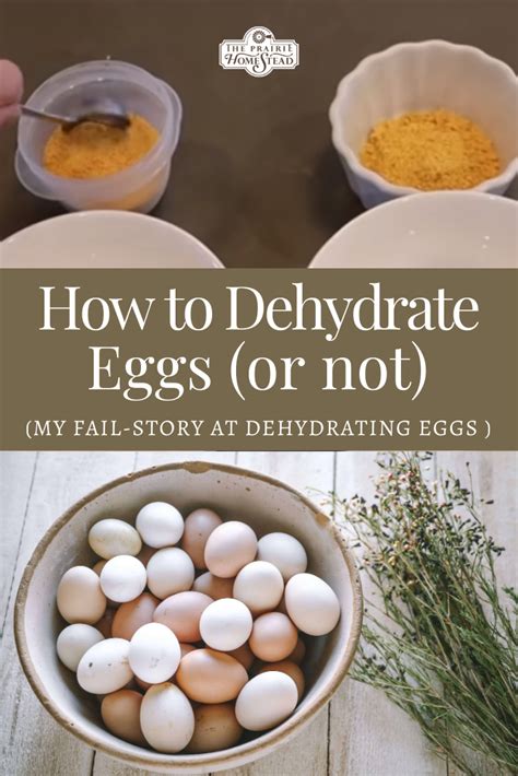 How to Dehydrate Eggs (or not): my story and opinions on dehydrating ...