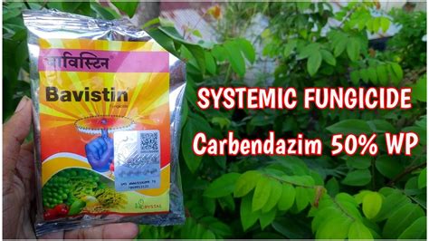 What Is Bavistin Fungicide ? How To Use Bavistin ? Systemic Fungicide ...