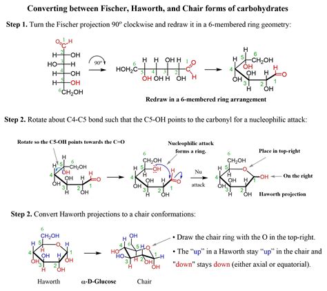 Converting a carbohydrate fischer projection to a haworth and chair ...