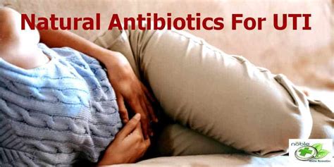 11 Best Natural Antibiotics For UTI - Natural Remedies