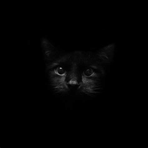 Black Live Wallpaper for Android - APK Download