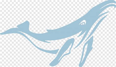 Blue Whale Vector Png - 2500x1440 (#22206202) PNG Image - PngJoy