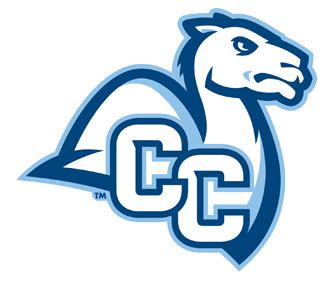 I Am Camel, Hear Me Roar – The College Voice