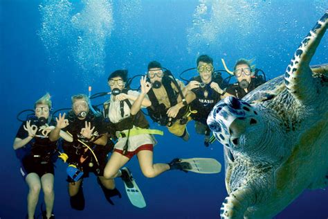 Elite Dive Centre | Red Sea Diving | Scuba Travel