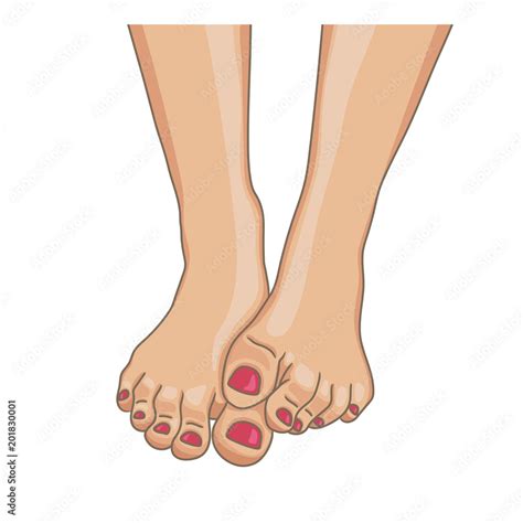 Stockvector Female feet, barefoot, front view. One foot lying on the ...