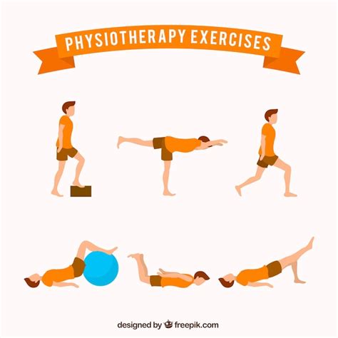 Collection of rehabilitation exercises Vector | Free Download