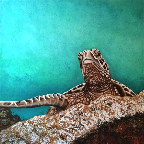 Honu | Tropical art, Honu, Contemporary artists