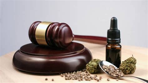 Federal Cannabis Updates: New Cannabis Policy Expert at FDA and ...