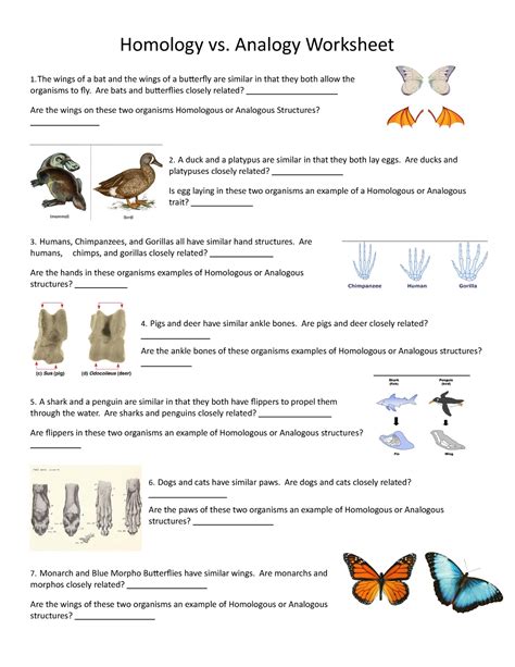 Part-2-Homology-Assignment -Homologousand Analogous Structures ...