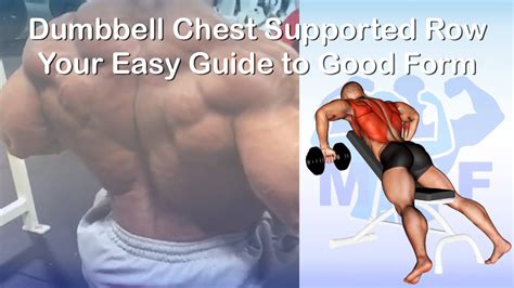 Dumbbell Chest Supported Row: Your Easy Guide to Good Form